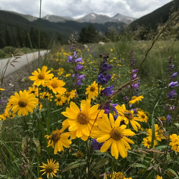 $ - Picture 11 of 16